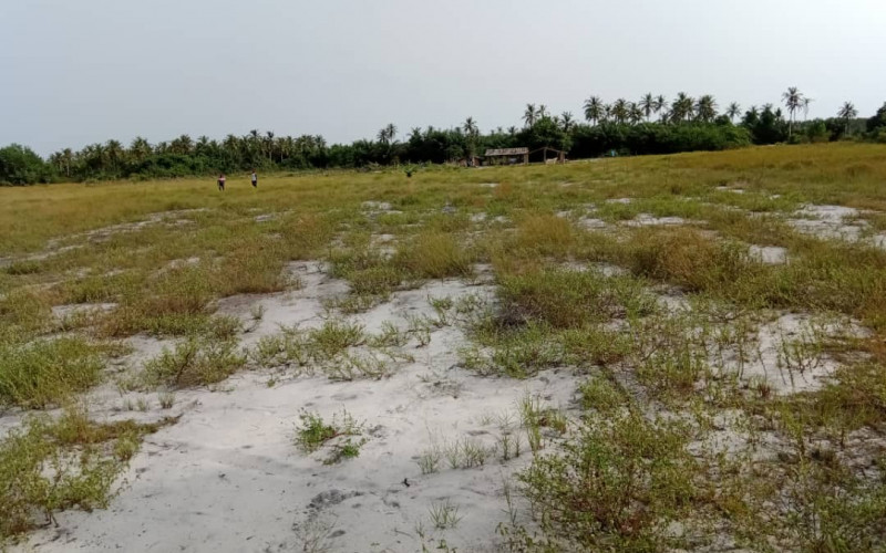 VENTE D'UNE PARCELLE